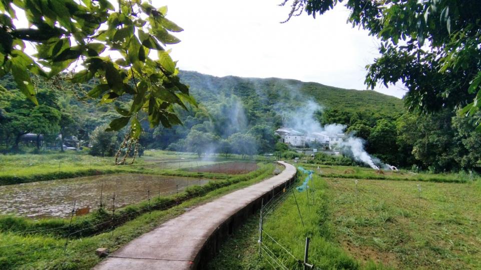 鄉郊
西貢很多耕地有牛隻，牠們的糞便乾了可以用火燒滅成灰，不用多花功夫清理。...