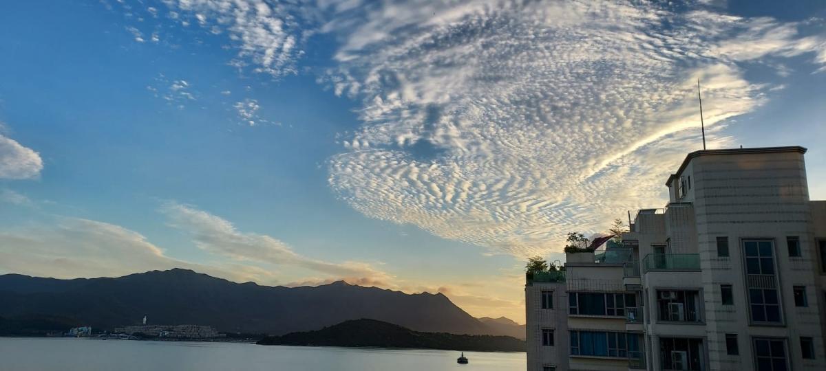 觀雲
今早晨曦看見雲很特別，刻意望多一會，心想雲似甚麼呢？我的答案是像一條魚。...