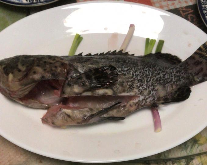 海斑

今天海斑不貴，蒸一條夠二人...