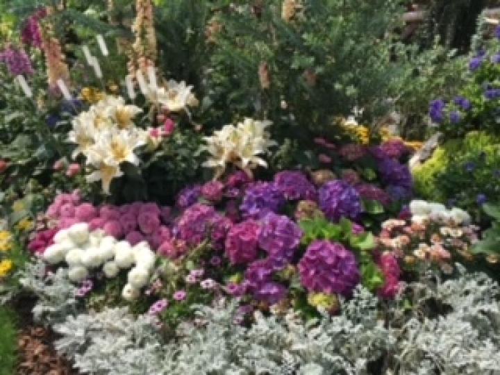 花海

春花處處開，處處都有花海，真是值得拍下來慢慢賞花。...