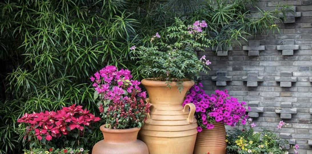 屋苑花園
香港大部份屋苑都有休憩的花園，園丁對一草一木，一花一草的打理都非常重要。...