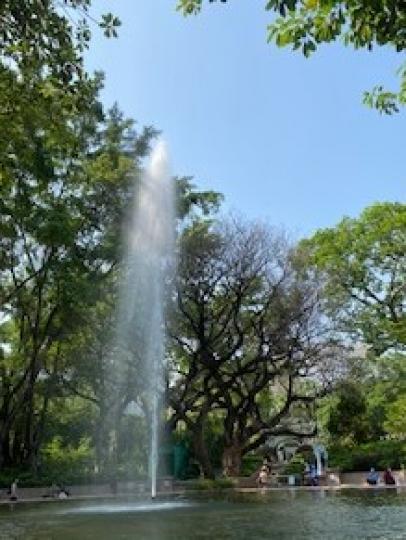 公園一景
九龍公園的噴水池水柱的動感點綴了在旁靜態活動的遊人。...