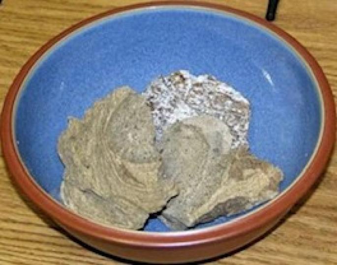 龍涎香
鯨魚腸道里難消化的便便是價值連城的香料龍涎香。
龍涎香的特殊香味經常會被用於香水中。但是天然的龍涎香很珍貴,並且隨著海洋污染了,海洋中大量藻類產生毒素,許多抹香鯨中毒擱淺,或者被船隻的螺旋槳打... 龍涎香
鯨魚腸道里難消化的便便是價值連城的香料龍涎香。
龍涎香的特殊香味經常會被用於香水中。但是天然的龍涎香很珍貴,並且隨著海洋污染了,海洋中大量藻類產生毒素,許多抹香鯨中毒擱淺,或者被船隻的螺旋槳打...