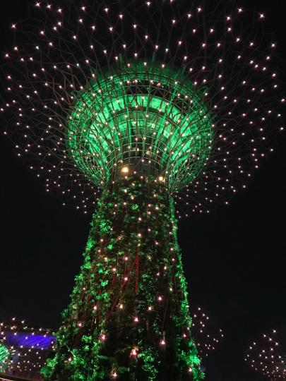 海濱花園

星加坡海濱花園晚上的樹亮起燈，照亮了周圍的地方。...