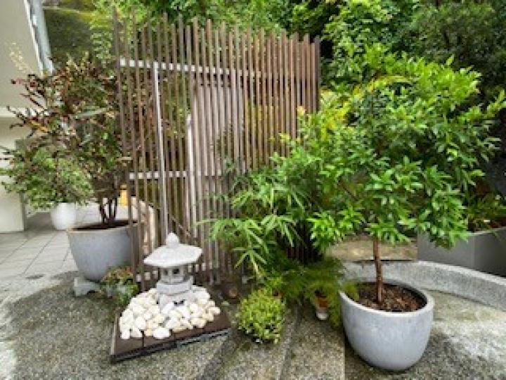 小花園

只有綠色植物的小花園，加上石景也可以很優雅。...