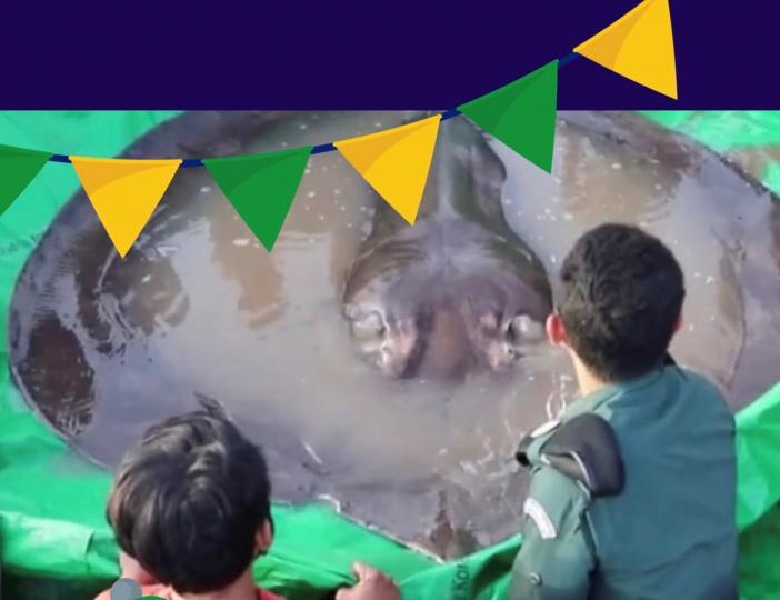世界最大的淡水魚
柬埔寨漁民和研究人員在北部上丁省(Stung Treng)湄公河段,於6月14日捕獲了一條重300公斤、長3.9公尺的巨型魟魚,科學家指這是世界所發現最大的淡水魚。... 世界最大的淡水魚
柬埔寨漁民和研究人員在北部上丁省(Stung Treng)湄公河段,於6月14日捕獲了一條重300公斤、長3.9公尺的巨型魟魚,科學家指這是世界所發現最大的淡水魚。...