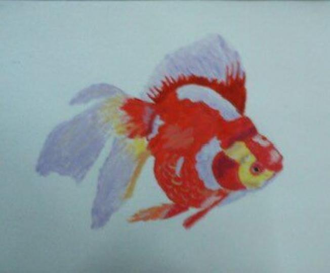 金魚

媽媽喜歡繪畫和生活有關的題材，金魚缸中的這條金魚是她最喜愛的。...