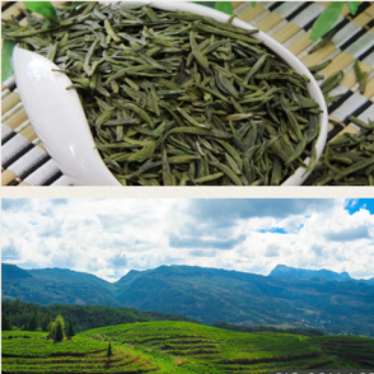 貴州綠茶
貴州綠茶是貴州省特產。貴州高海拔、低緯度、寡日照、冷涼多霧等條件孕育茶葉的物質組合性好,三款茶如:捲曲形茶、扁形茶、顆粒形茶都具備翡翠綠、嫩慄香和濃爽味的特點。... 貴州綠茶
貴州綠茶是貴州省特產。貴州高海拔、低緯度、寡日照、冷涼多霧等條件孕育茶葉的物質組合性好,三款茶如:捲曲形茶、扁形茶、顆粒形茶都具備翡翠綠、嫩慄香和濃爽味的特點。...