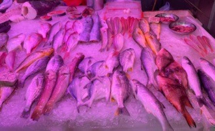 魚檔
我家附近的魚檔，咸水魚種類多，每天可以買不同的魚類，價錢相宜又方便。...