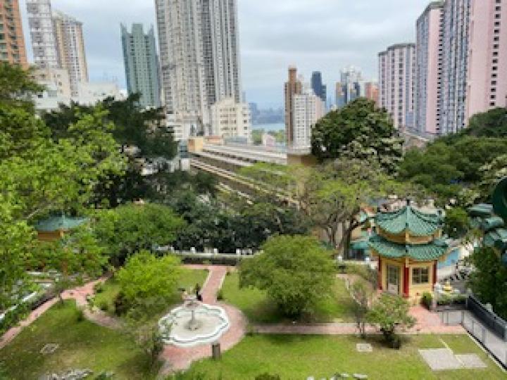 俯瞰

從虎豺別墅頂層露台向下望，整個別墅花園和部份維多利亞港盡收眼簾。...