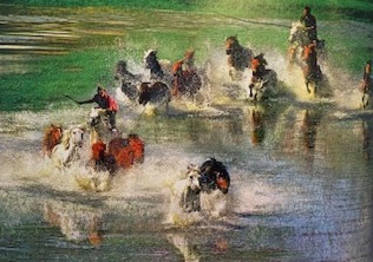 活潑的馬群

內蒙古湖沼中馬群奔馳浪花四濺，十分壯觀。...