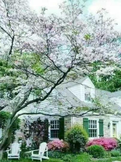 我喜歡住大屋，屋前和後有花園的別墅就更理想。...