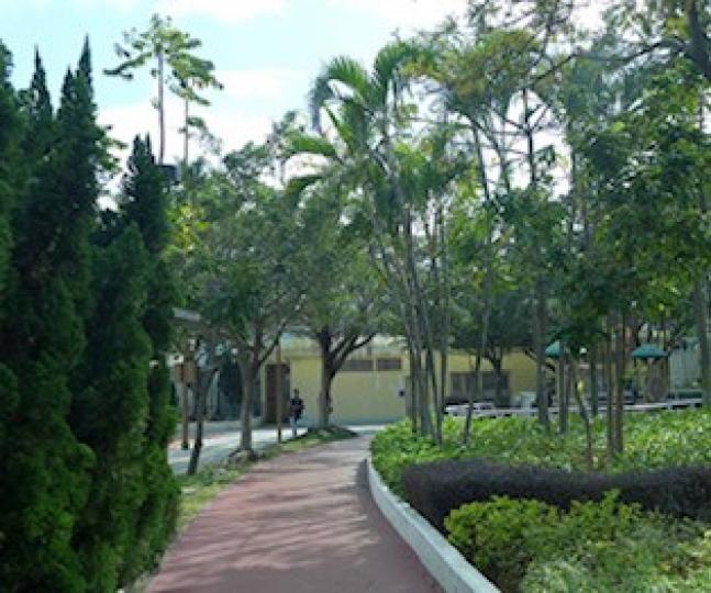 緩跑徑
很多公園都有緩跑徑，而緩步跑是帶氧好運動，因熱血沸騰脈絡就貫通。...