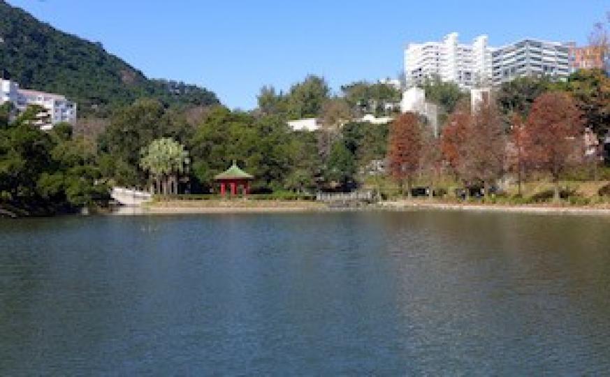 中文大學未圓湖
未圓湖內有荷花池、竹林、睡蓮、黃花風鈴木、垂柳......等多樣植物 ! 在秋冬季節,湖邊的落羽松和斜坡上的楓香樹便會轉紅,另整個湖景色非常美麗。
未圓湖內更築有拱橋、曲橋、獅子亭,... 中文大學未圓湖
未圓湖內有荷花池、竹林、睡蓮、黃花風鈴木、垂柳......等多樣植物 ! 在秋冬季節,湖邊的落羽松和斜坡上的楓香樹便會轉紅,另整個湖景色非常美麗。
未圓湖內更築有拱橋、曲橋、獅子亭,...
