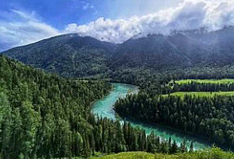 喀納斯湖

喀納斯湖是新疆阿勒泰地區布爾津縣北部一著名淡水湖。湖風景優美，四周林木茂盛，為中國國家5A 級旅遊景區。...