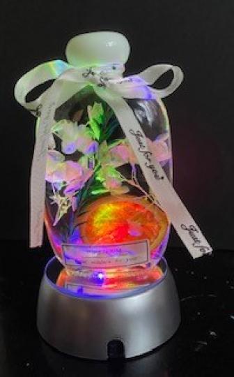 浮游瓶小夜燈

我喜歡做手工，這浮游瓶小夜燈不但可作照明，搖動時，瓶內的永生花會漂浮，有療癒之效。...