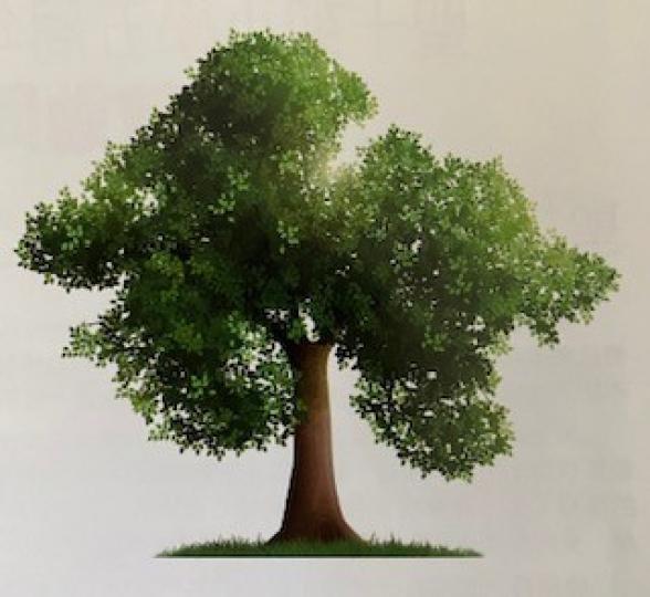 生命教育
生命教育像是一棵大樹茁壯成長一樣，有對樹根的照料，讓樹幹健康成長和使樹枝結出豐碩果實。...