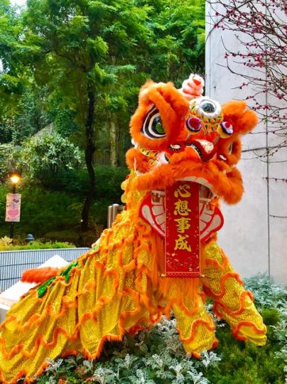 舞獅

這條獅在響亮的鼓聲下舞動起來，祝市民心想事成。...