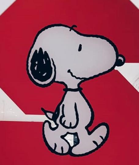史諾比
史諾比是美國漫畫家查爾斯·舒茲從1950年代起連載的漫畫作品「花生漫畫」中，由主人翁查理·布朗飼養的一隻外觀為黑白花色的米格魯。 牠是「花生漫畫」裡代表性的卡通形象之一，有著充滿自信、喜愛天馬...