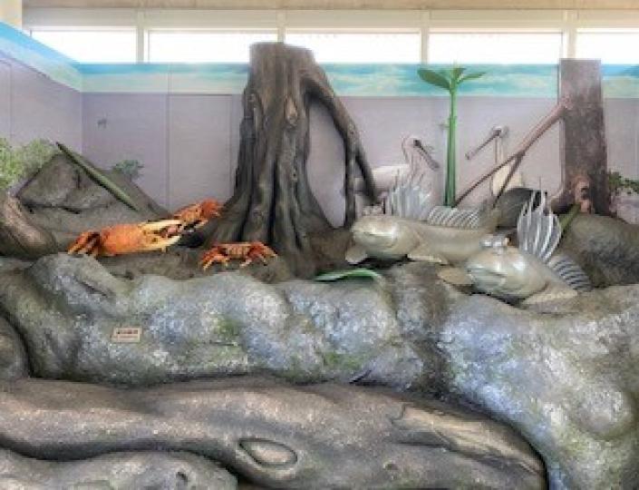 濕地探索中心
濕地公園戶內的濕地探索中心館有招潮蟹、彈塗魚和黑臉琵鷺大模型供遊客拍照留念。...