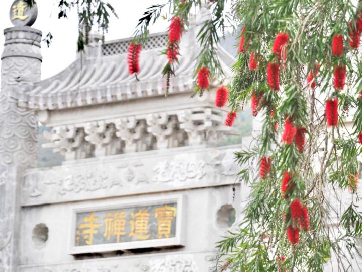 大嶼山的寶蓮寺香火鼎盛，是善信和遊客必到的旅游景點。...