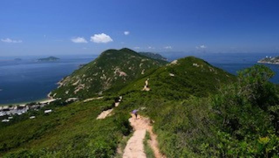 龍脊
龍脊曾被選為「香港最佳遠足路線」之一。有靚景，又不算難行，更要離市區不遠，交通方便。...