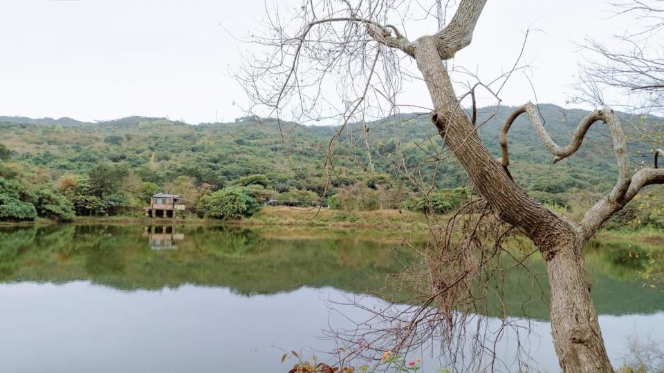 南涌
陰天的南涌空氣清新，有一種寧靜的美。...