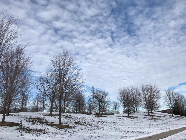 冬之美

這大自然景色十分優雅，雪和雲白得清純可愛，光禿禿的樹整整齊齊的排列，這就是美的配合。...