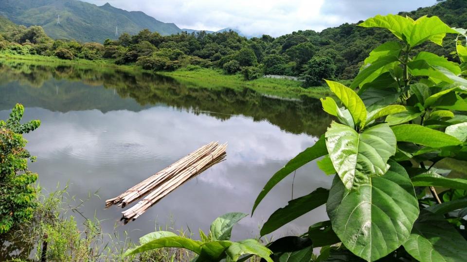 大自然的寧靜
風平浪靜的海面上有兩束竹枝漂浮著和天上雲層的倒影使整個畫面豐富了。...