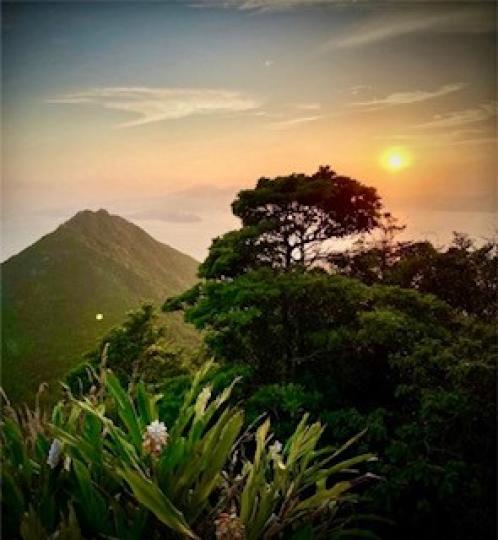 大自然的美
天空、太陽、雲、山、樹木、花朵，全是大自然的創造，非常美麗。...