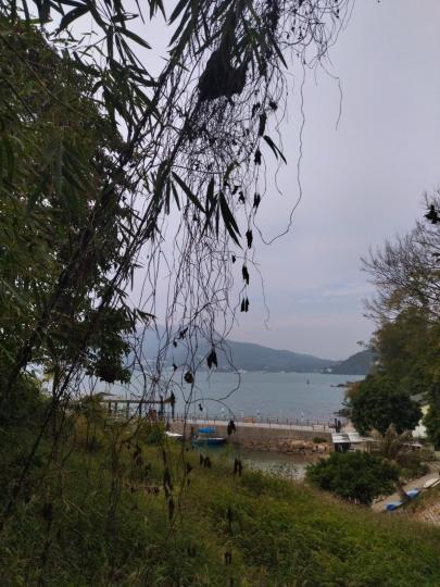 美景

我陪朋友練習跑步時發現眼前景色不錯，試試取角度看看效果。...