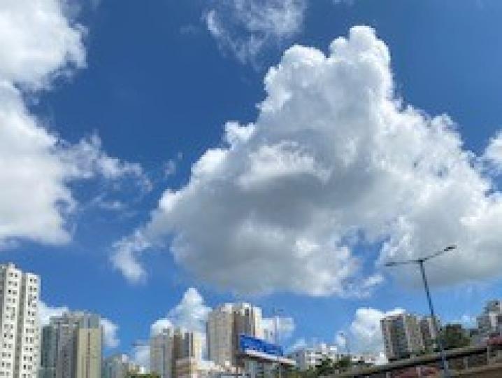 牛頭角的清晨

從地鐵站附近向天橋望，藍天白雲，非常睛朗，我幻想著白雲似棉花糖，可以摘下來吃便好了。...