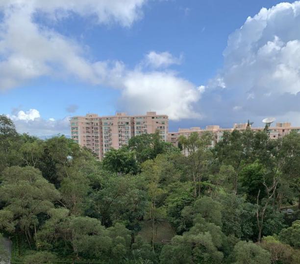 北角半山

從北角半山賽西湖前望寶馬山花園，一片樹林很養眼。...