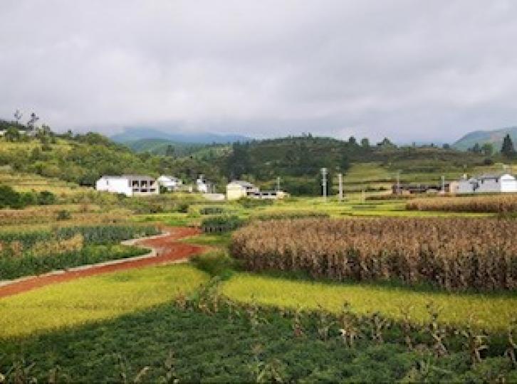 雲南沙溪古鎮
一座千年的美麗古鎮，人少景美讓人流連忘返，還有一片絕美花海！...