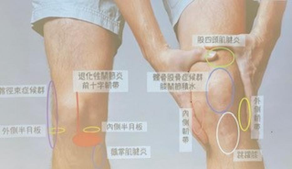 膝蓋痛的原因

中醫分析膝蓋痛部位和原因，從而採取適當的治療方法。...
