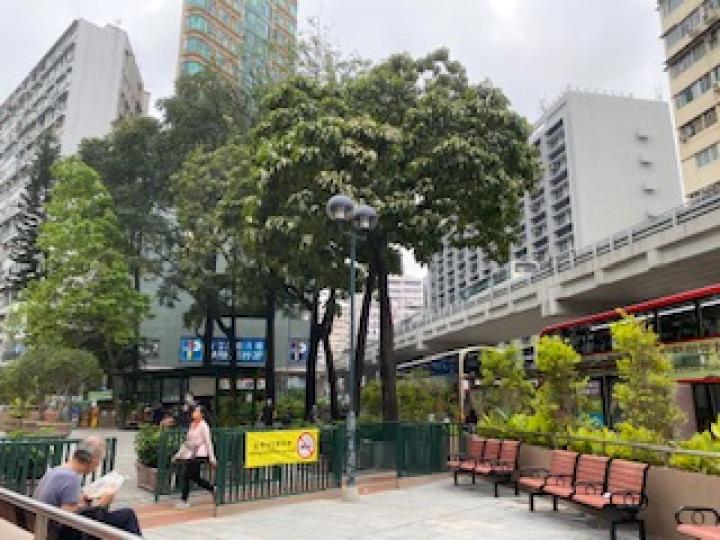 市肺

這小公園在人口密度高的區域成為市民可以享用的「市肺」。...