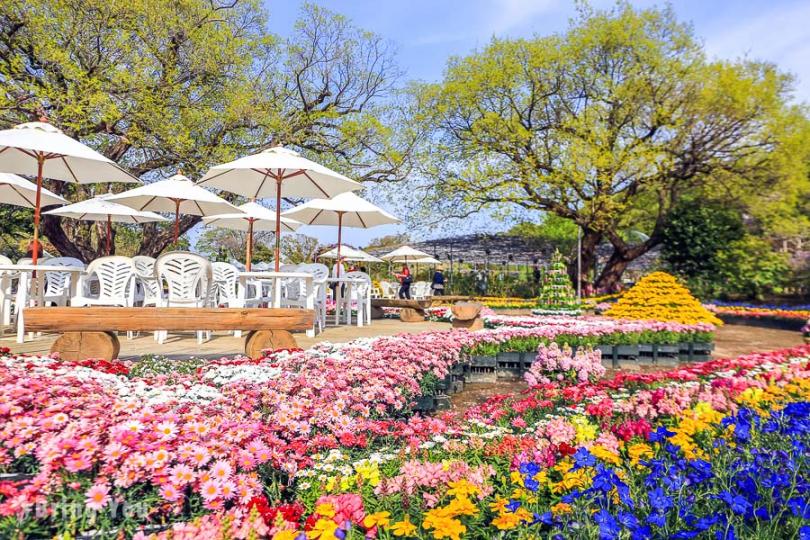 足里花卉公園
日本栃木縣的足利花卉公園是世界十大夢幻景點之一，每年紫藤花盛開季節吸引不少海內外遊客來觀賞。...