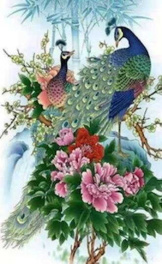 孔雀

一雙一對的孔雀互相欣賞對方真是羡煞旁人！...