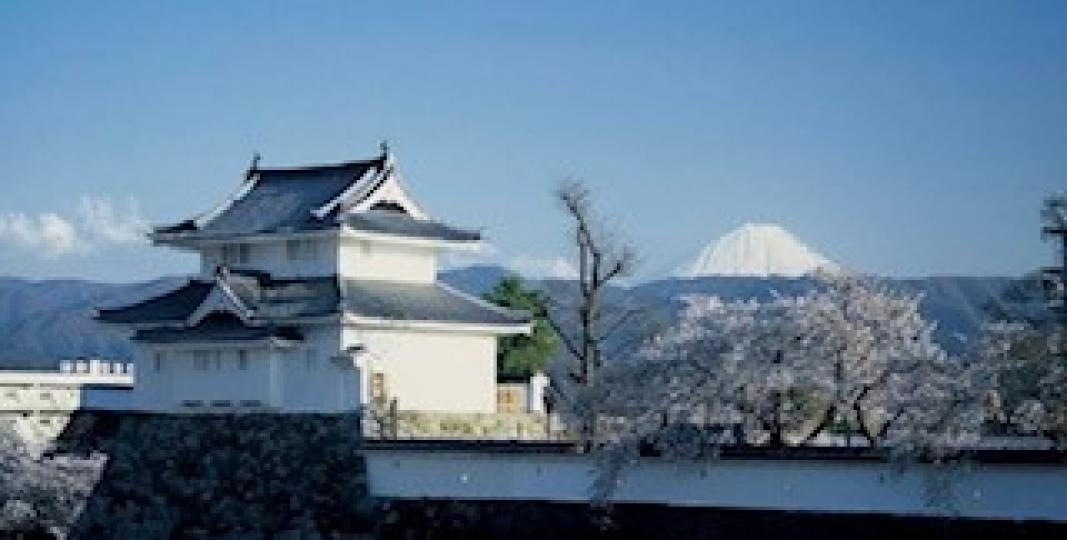 山梨縣
山梨縣是日本本州島中部地方的一個縣，是一個內陸縣，是富士山所在縣。山梨縣是日本重要的水果生產地區，號稱「果樹王國」，桃、李子和葡萄產量居全日本第一位。...