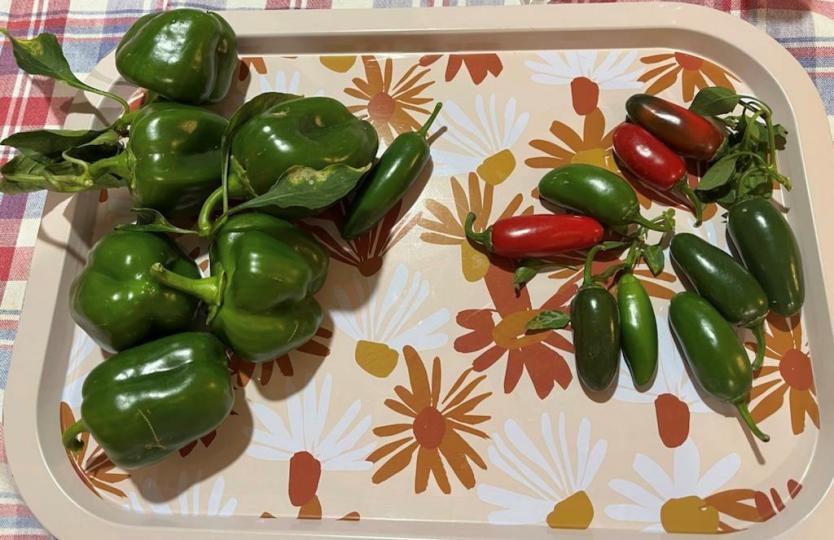 種植的樂趣

家中小露台，加上陽光和悉心照顧，辣椒也可以種植成功有收穫。...
