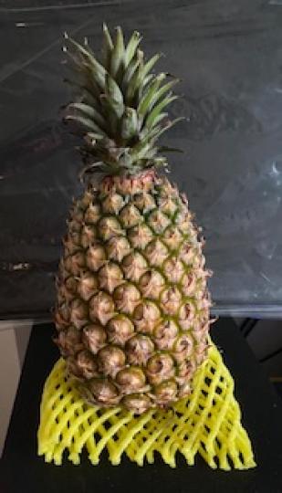 金鑽菠蘿

台灣盛產菠蘿，今午路經水果店，買了一個金鑽菠蘿試試。...