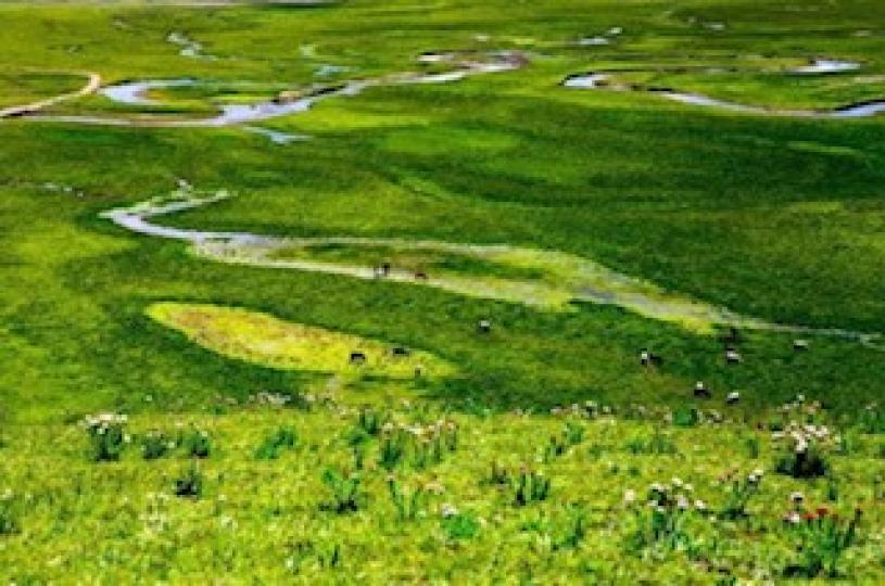 曼扎塘濕地草原

曼扎塘濕地草原是四川阿垻藏民的風水寶地。春夏時是這片濕地草原最美的季節，鮮花遍地，牛羊滿山，風中帶着涼意，嫵媚多姿的風情，十分詩情畫意。...