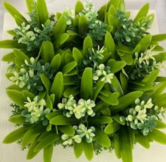 室內植物的好處
室內植物室內植物不但能對身體健康有好處,也可以說它對精神健康也有益處,因有植物的空間感覺會更舒適、呼吸更深,並能感受到自然所帶來的鎮靜效果。植物的確能提高幸福感,從而改善情緒、提高記憶... 室內植物的好處
室內植物室內植物不但能對身體健康有好處,也可以說它對精神健康也有益處,因有植物的空間感覺會更舒適、呼吸更深,並能感受到自然所帶來的鎮靜效果。植物的確能提高幸福感,從而改善情緒、提高記憶...