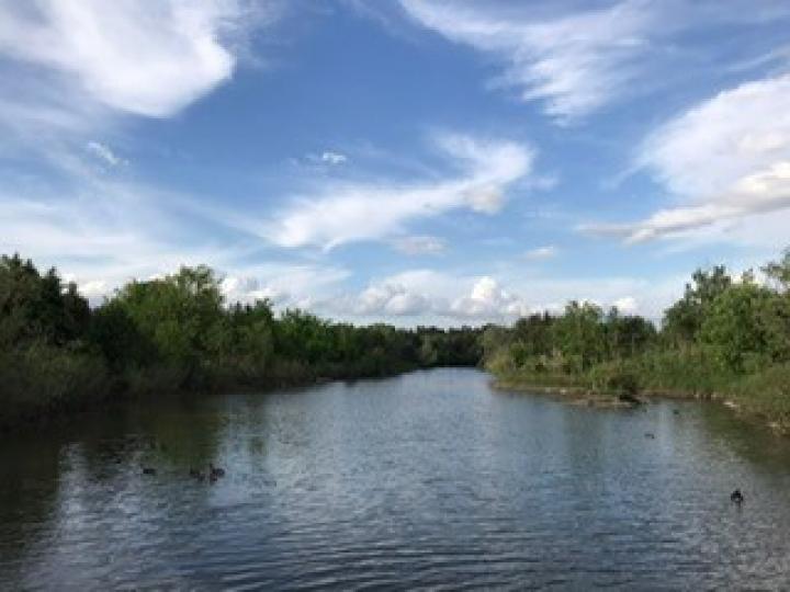 社區小湖
雖然沒有大山大河流，但社區中有小湖，早晨或黃昏到湖邊散步，享受清新的空氣和欣賞藍天白雲是一種放鬆自己的好地方。...