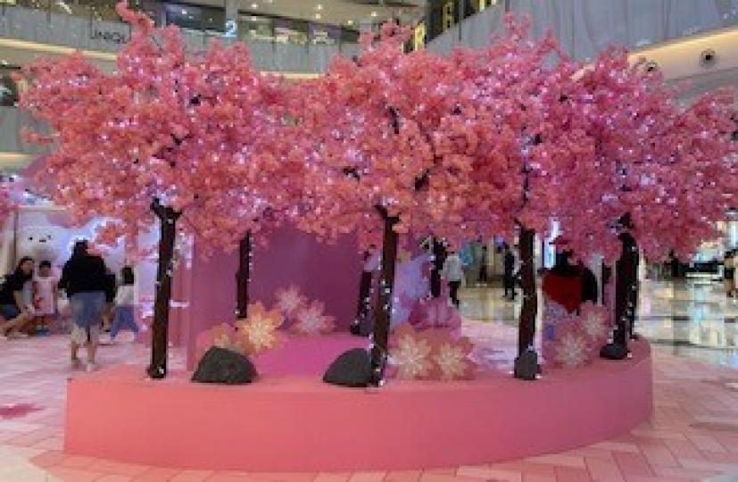 櫻花

現正是曰本樱花盛放的季節，但礙於疫症，只好到商場欣賞人做樱花，感受氣氛。...