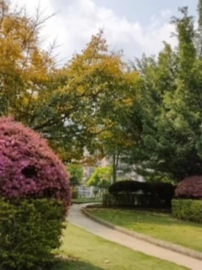 公園

國內朋友傳來她閒時常到散步的公園，十分寧靜。...