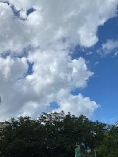 藍天白雲

今午天空時睛時陰，濃濃的白雲佔了大部分的藍天，像是滿天棉絮。...