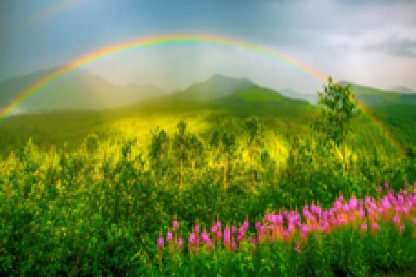 美麗的彩虹
對一些喜歡戶外活動的人來說，下雨天總有不方便，但雨後的彩虹令人開心，充滿希望！...