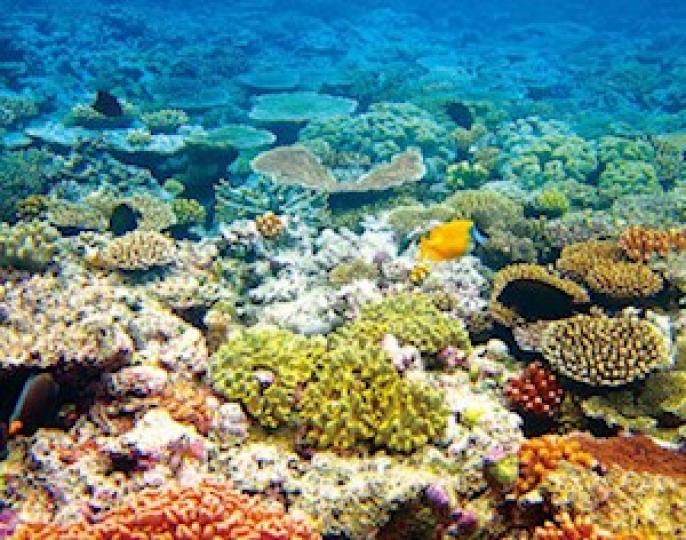 大堡礁
澳洲昆士蘭的大堡礁是大自然送給澳洲最好的禮物。它是世界七大自然奇景之一。大堡礁的特殊之處在於其面積巨大和多樣性的生物種類，看起來很壯觀，會給遊人很好的體驗，讓每個人都印象深刻。...