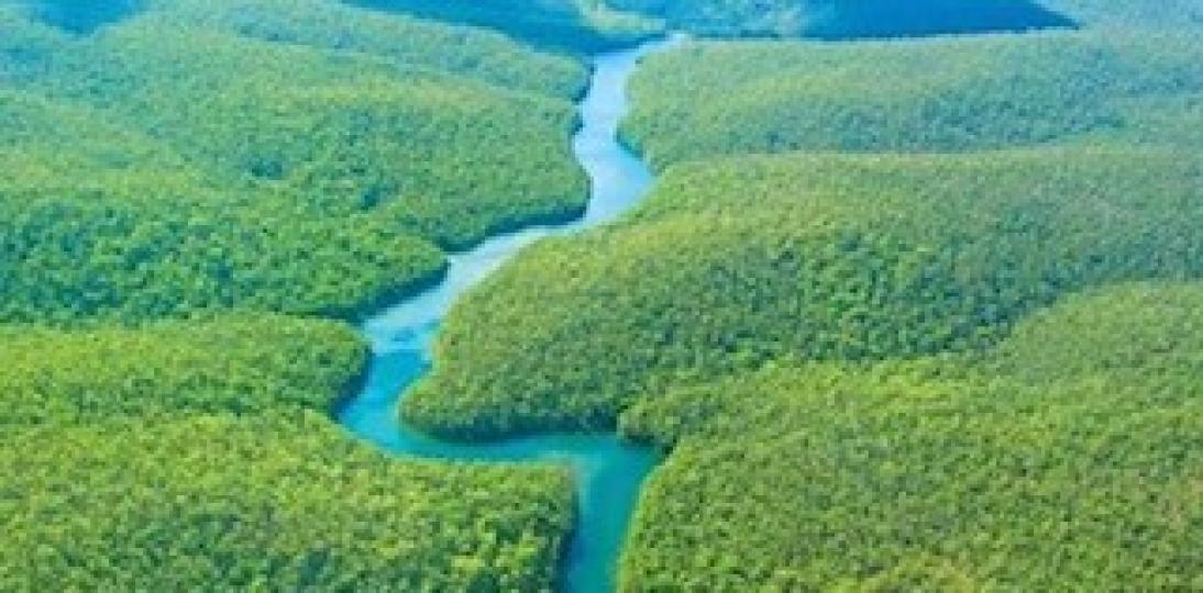 亞馬遜河

亞馬遜河在所有河流中是巨無霸一般的存在，從地圖上看，它的長度和長江差不多，但據數據顯示，它河水的總水量大約是長江的7倍，是世界第一長河尼羅河的70倍，世界水量第二大的河流剛果河，其水量只有...